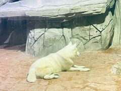 -海合安武汉极地海洋公园
