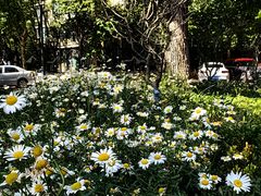 -苏州河梦清园环保主题公园