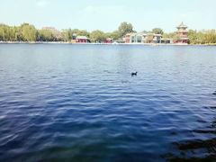-后海公园