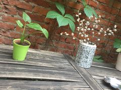 -铃木食堂(帽儿胡同店)