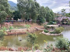 -泉州海丝野生动物世界