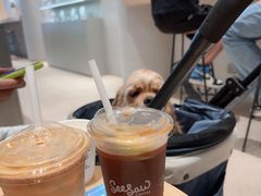 -Seesaw Coffee(西岸凤巢店)