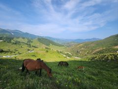 -灵山