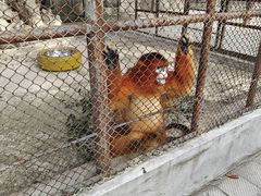 -哈尔滨北方森林动物园