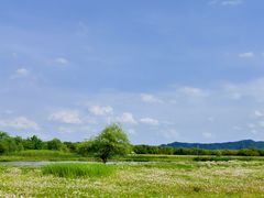 -良渚古城遗址公园
