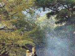 -普陀山风景名胜区-法雨禅寺