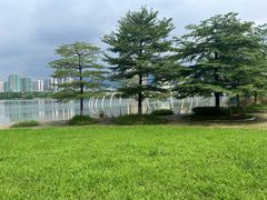 -飞来湖湿地公园