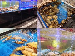 -南海渔村(珠江新城店)