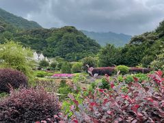 -雁南飞茶田景区