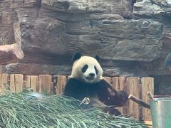 -石家庄市动物园