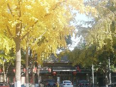 -双和顺-清真(灯市口西街店)