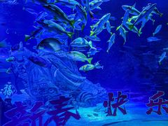 -沈阳海洋探索中心