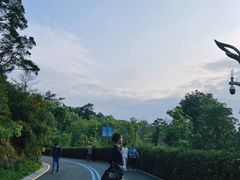 -飞凤山奥体公园
