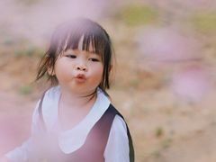 -天适樱花悠乐园