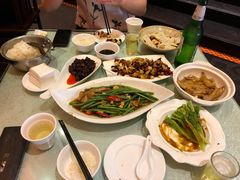 -陈麻婆豆腐总店