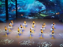 -中央芭蕾舞团·中芭艺蕾(酒仙桥明星校区)