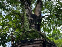 -西双版纳傣族园