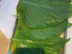 -杨记齐齐哈尔烤肉(总店)