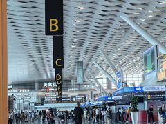 -郑州新郑国际机场-T2航站楼
