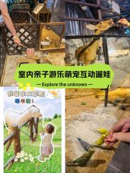 -酷嗒动物文化乐园(cutezoo西溪乐天城店)