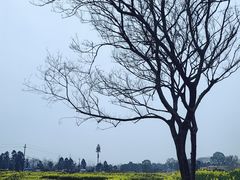 -三圣花乡旅游区