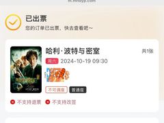 -SFC上影影城(北京大兴龙湖天街IMAX店)