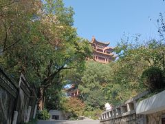 -黄鹤楼公园(黄鹤楼)