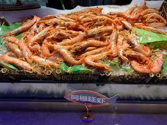 阿根廷大虾-乔哥铭洋海鲜自助(皇城恒隆广场店)