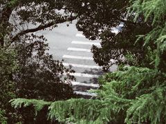 -浙江大学(玉泉校区)