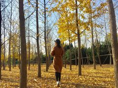 -汉景帝阳陵博物院