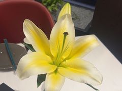 -苏淮景·苏闽融创菜·海鲜(原空港井河轩店)