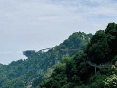 -少华山国家森林公园