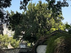 -乌山风景区