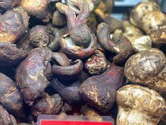 -太婆天府山珍酒楼(亚运村店)