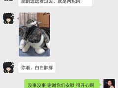 iphone_upload_pic-Bastet sally猫舍购宠(静安店)