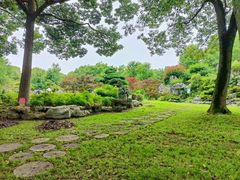 -上海鲜花港