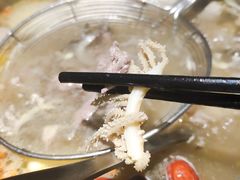 -八合里潮汕鲜牛肉火锅(深圳海岸城店)