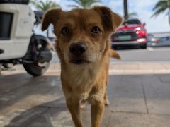 -新金盛·海鲜酒楼(盐田店)