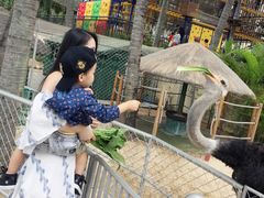 -三亚亚龙湾天域度假酒店