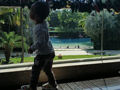 -三亚湾海居铂尔曼度假酒店