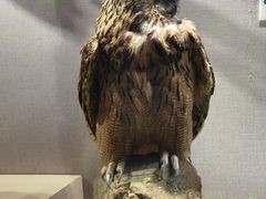 -长江文明馆