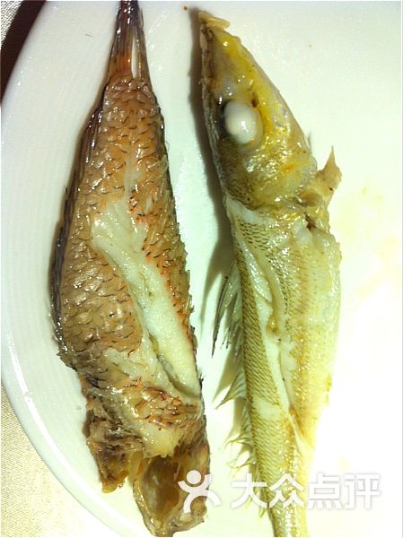 什鱼煲里最好吃的玫瑰鱼