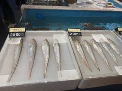 -莆鑫海鲜城(浏河店)