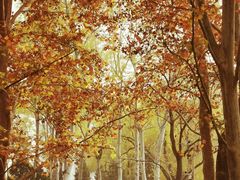 -北京动物园-畅观楼