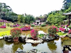 -广州市白云山风景名胜区