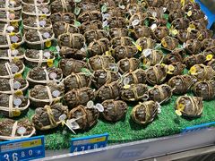 -麦德龙(芝罘店)