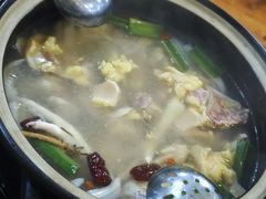 -15年老字号鑫鑫猪肚鸡·椰子鸡海南火锅(兴隆华侨农场店)