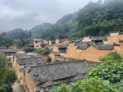 -杨家堂村