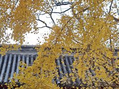 -承恩寺