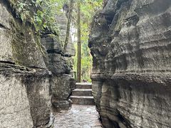 -梭布垭石林景区